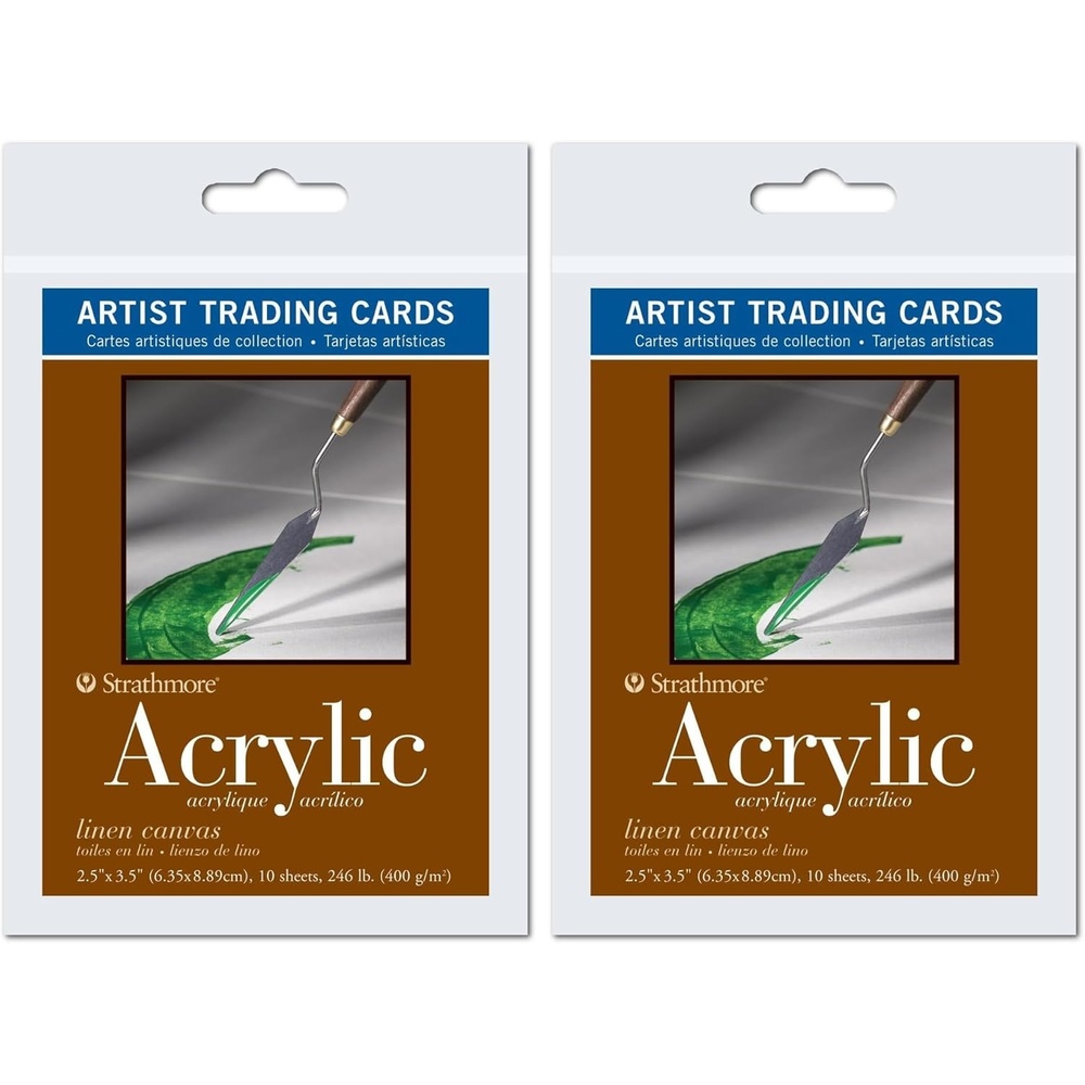 Strathmore 300 Series Bristol Artist Trading Cards, Smooth Surface, 20 Sheets(1 Count (Pack of 20))