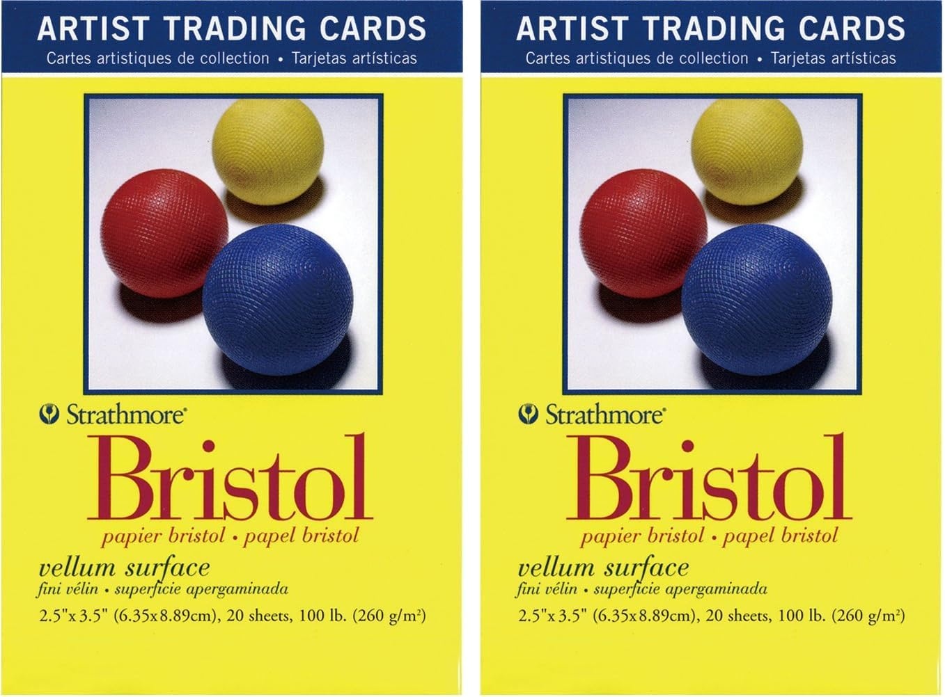 Strathmore 300 Series Bristol Artist Trading Cards, Smooth Surface, 20 Sheets(20 Count (Pack of 2))