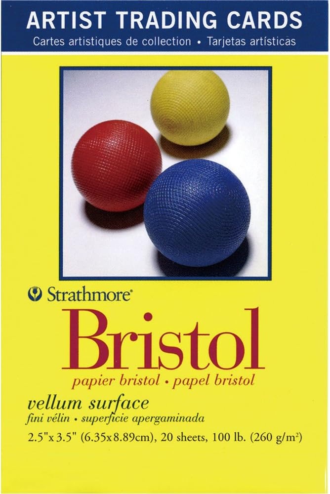 Strathmore Artist Trading Cards 2.5″X3.5″ 5/Pkg-Illustration Board Vellum -62105907, White(20 Count (Pack of 1))